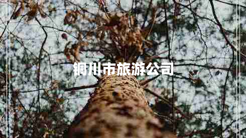 銅川市旅游公司 銅川市旅游公司
