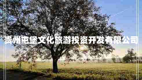 貴州屯堡文化旅游投資開發(fā)有限公司