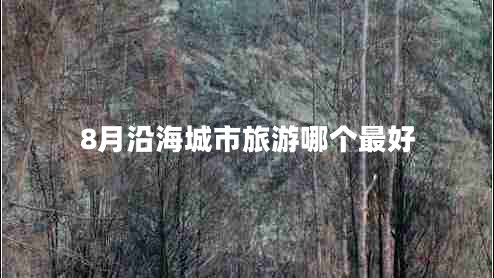 8月沿海城市旅游哪個最好 8月沿海城市旅游哪個最好