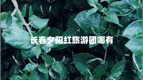 長(zhǎng)春夕陽(yáng)紅旅游團(tuán)哪有