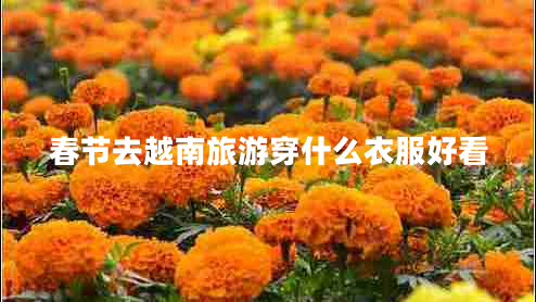 春節(jié)去越南旅游穿什么衣服好看