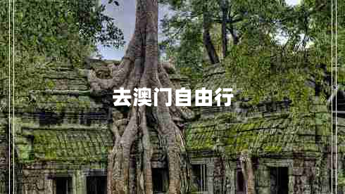 去澳門(mén)自由行