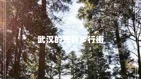 武漢的光谷步行街