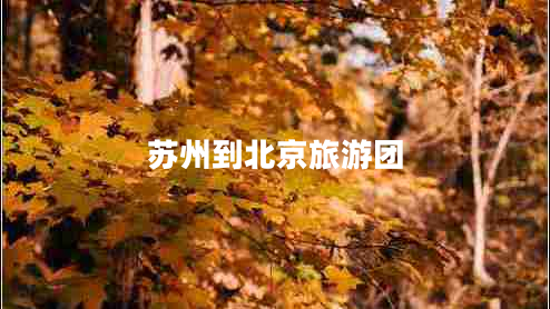 蘇州到北京旅游團