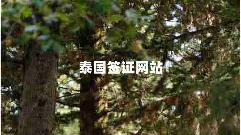 泰國(guó)簽證網(wǎng)站