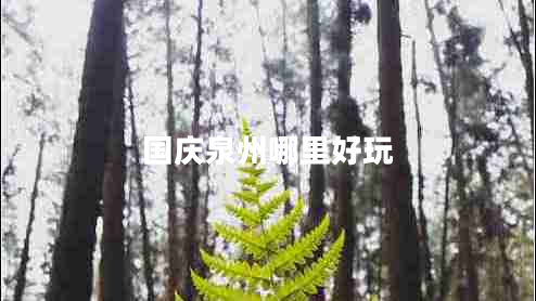 國慶泉州哪里好玩