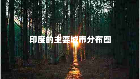 印度的主要城市分布圖