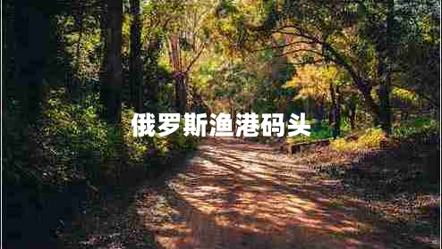 俄羅斯?jié)O港碼頭