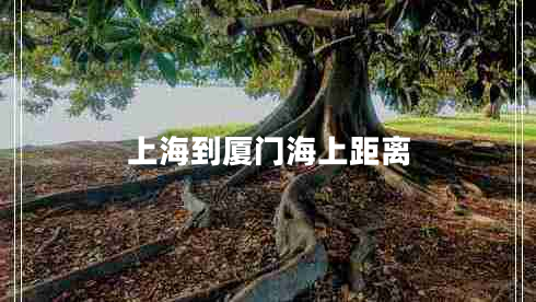 上海到廈門海上距離 上海到廈門海上距離