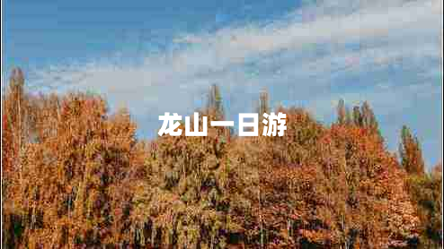 龍山一日游