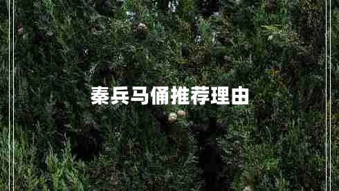 秦兵馬俑推薦理由