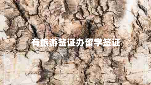 有旅游簽證辦留學(xué)簽證