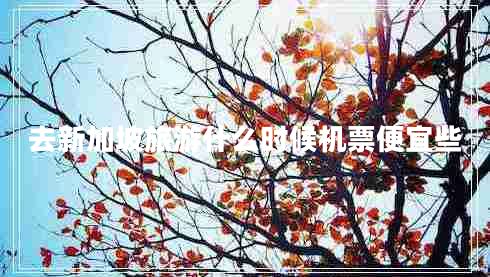 去新加坡旅游什么時候機(jī)票便宜些