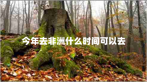 今年去非洲什么時間可以去 今年去非洲什么時間可以去