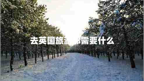 去英國(guó)旅游都需要什么 去英國(guó)旅游都需要什么
