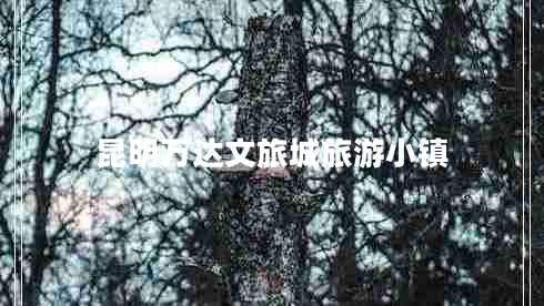 昆明萬達(dá)文旅城旅游小鎮(zhèn)