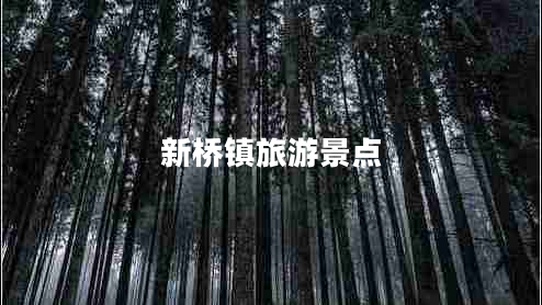 新橋鎮(zhèn)旅游景點