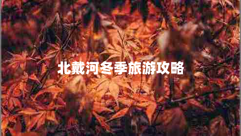 北戴河冬季旅游攻略