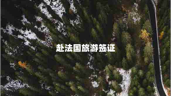 赴法國旅游簽證