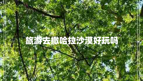 旅游去撒哈拉沙漠好玩嗎