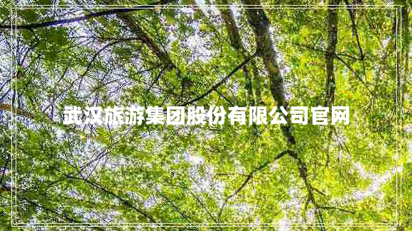 武漢旅游集團股份有限公司官網