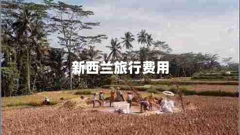 新西蘭旅行費用