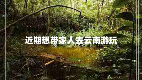 近期想帶家人去云南游玩 近期想帶家人去云南游玩