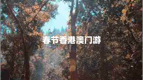 春節(jié)香港澳門游