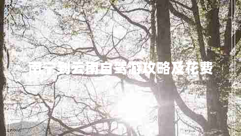 南寧到云南自駕游攻略及花費