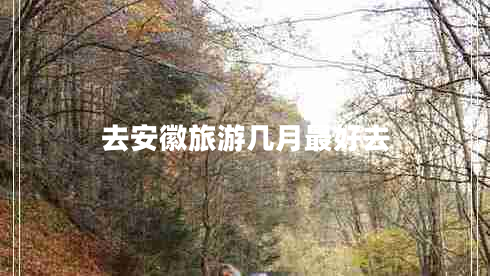 去安徽旅游幾月最好去 去安徽旅游幾月最好去