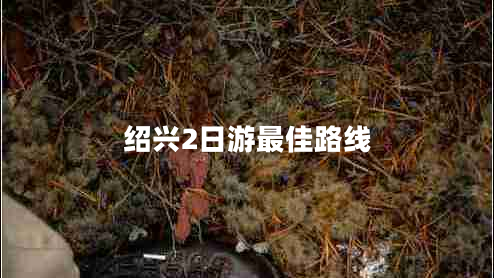 紹興2日游最佳路線 紹興2日游最佳路線