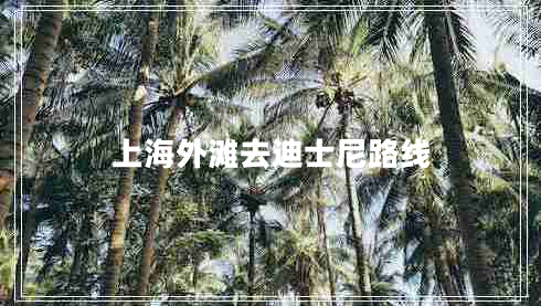 上海外灘去迪士尼路線