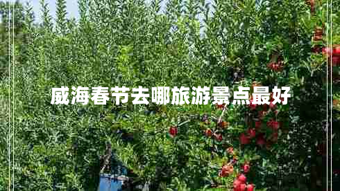 威海春節(jié)去哪旅游景點(diǎn)最好