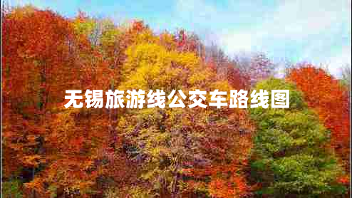 無錫旅游線公交車路線圖 無錫旅游線公交車路線圖