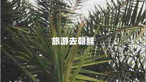 旅游去朝鮮