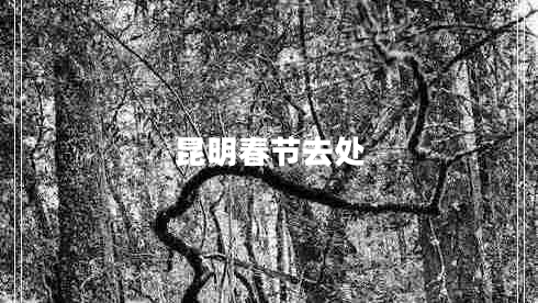 昆明春節(jié)去處