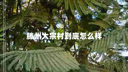 滕州大宗村到底怎么樣 滕州大宗村到底怎么樣