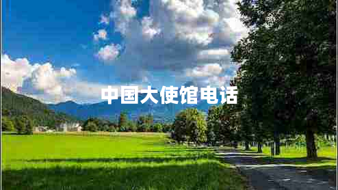 中國大使館電話