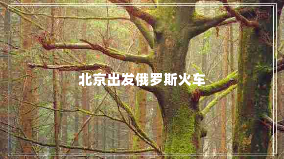 北京出發(fā)俄羅斯火車(chē)