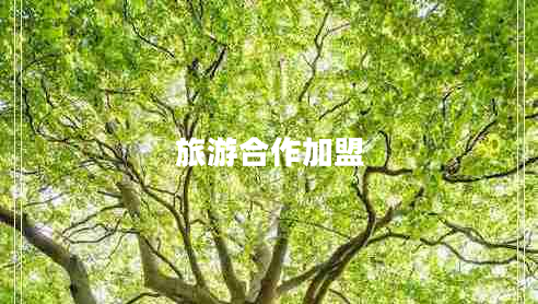 旅游合作加盟