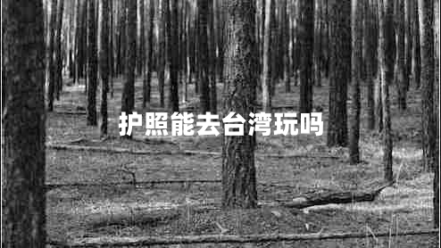 護(hù)照能去臺(tái)灣玩嗎