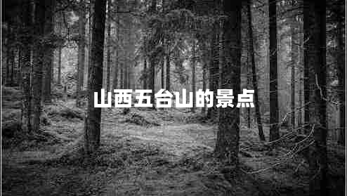 山西五臺山的景點
