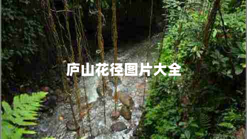 廬山花徑圖片大全