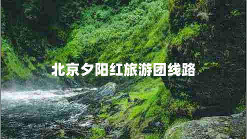 北京夕陽紅旅游團線路 北京夕陽紅旅游團線路