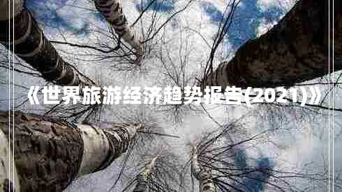 《世界旅游經(jīng)濟(jì)趨勢報告(2021)》 《世界旅游經(jīng)濟(jì)趨勢報告(2021)》