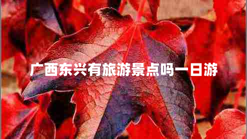 廣西東興有旅游景點嗎一日游