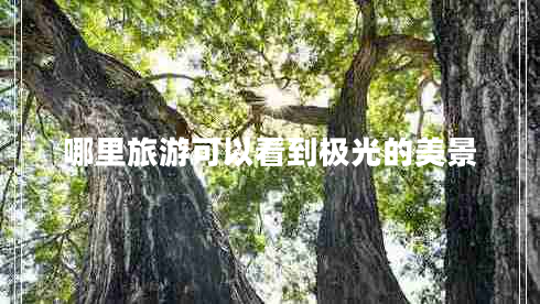 哪里旅游可以看到極光的美景