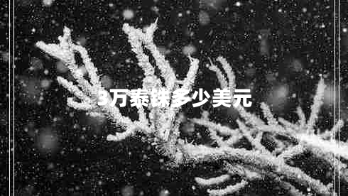 3萬泰銖多少美元