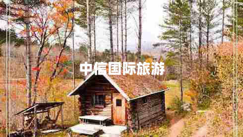 中信國(guó)際旅游