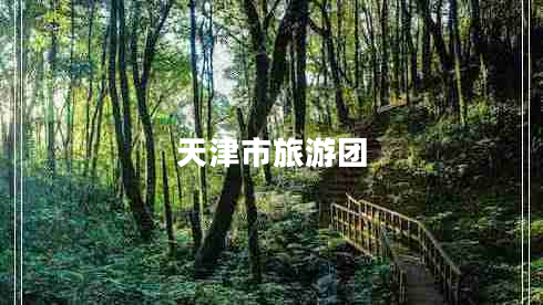 天津市旅游團 天津市旅游團
